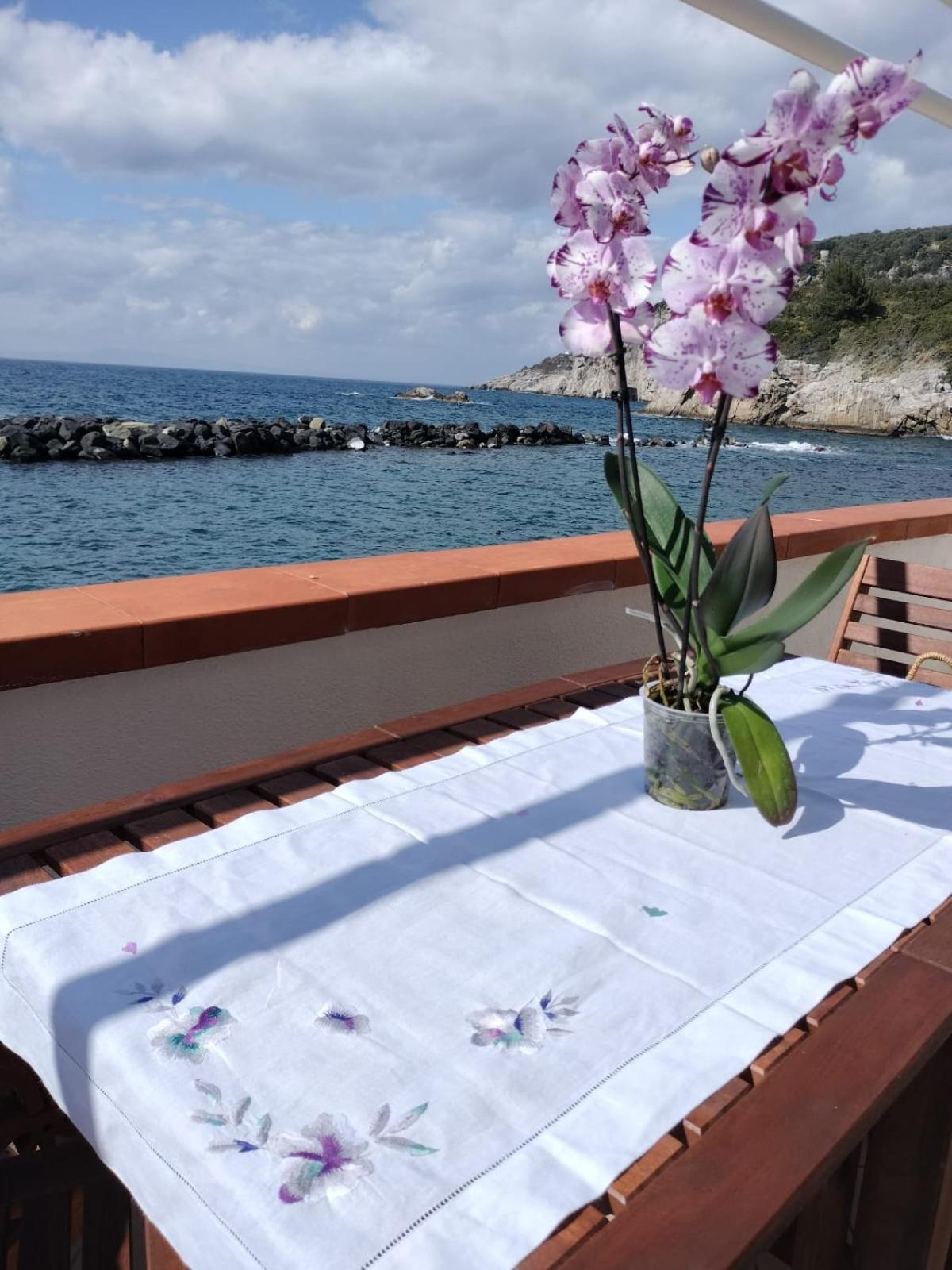 Casa Vacanza Verde Smeraldo- Massa Lubrense Bagian luar foto